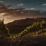 Green community, un progetto decisamente innovativo e moderno